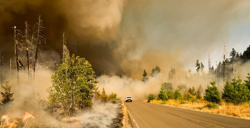Photo wildfire insurance