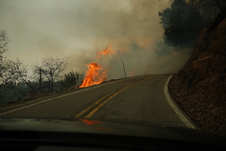 Photo wildfire insurance